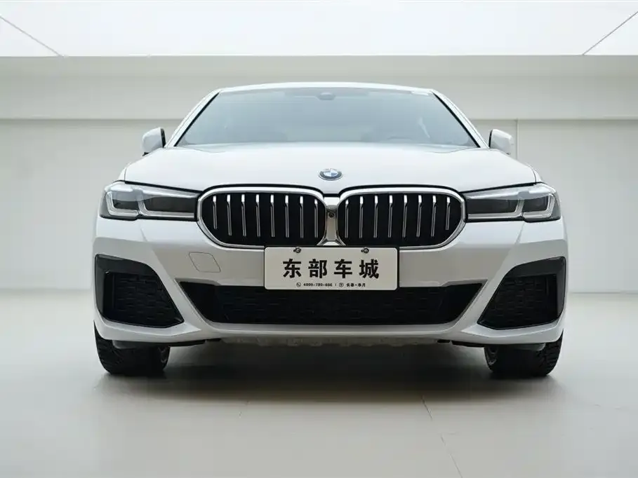 BMW 5 Series 2021 из CN, фото 2