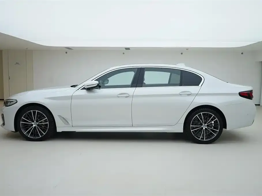 BMW 5 Series 2021 из CN, фото 3
