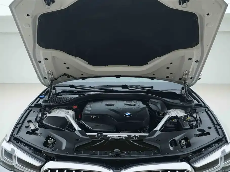 BMW 5 Series 2021 из CN, фото 6