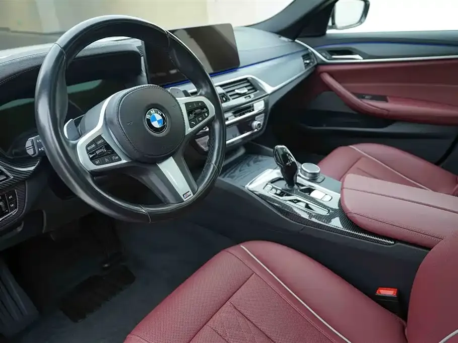 BMW 5 Series 2021 из CN, фото 9