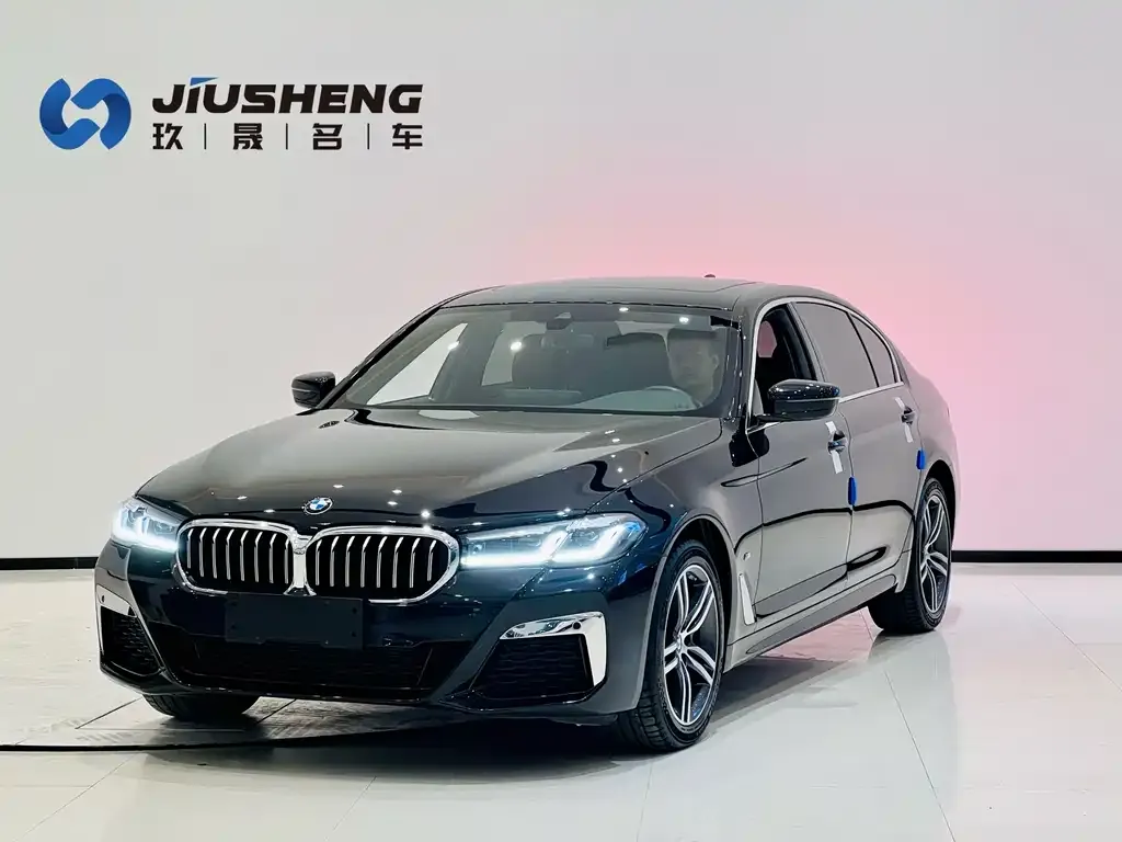 BMW 5 Series 2021 из CN, фото 1