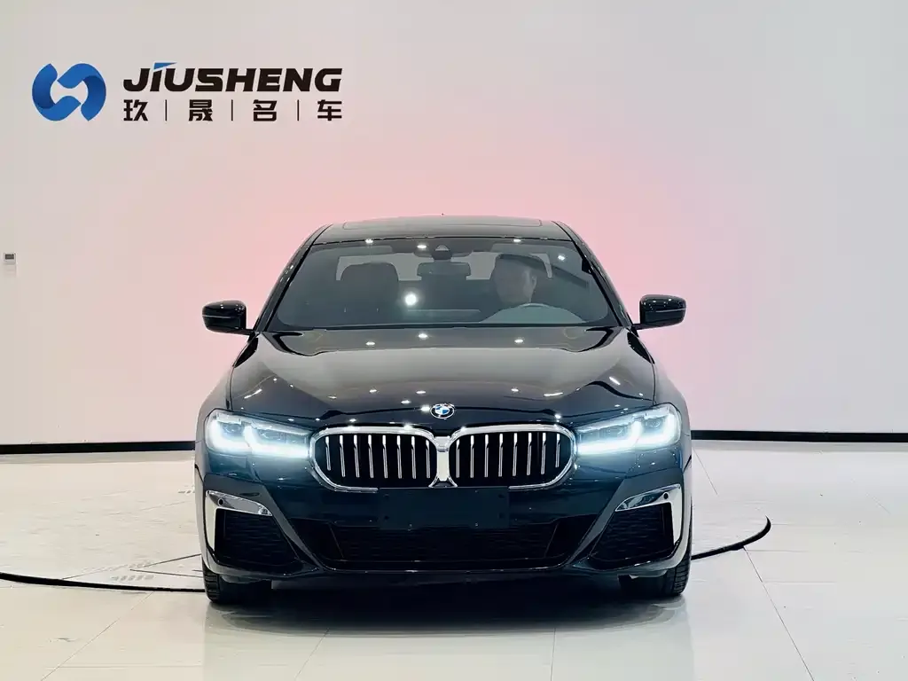 BMW 5 Series 2021 из CN, фото 2