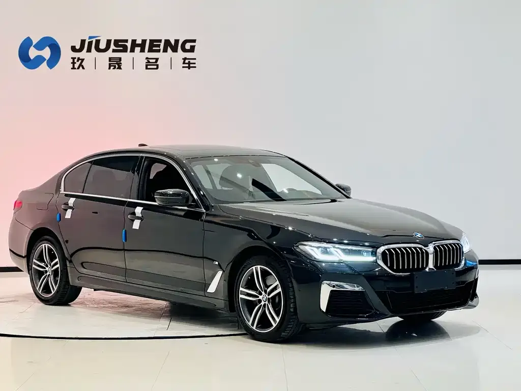 BMW 5 Series 2021 из CN, фото 3