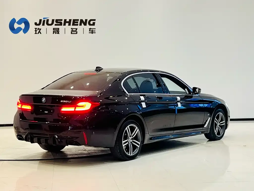 BMW 5 Series 2021 из CN, фото 4