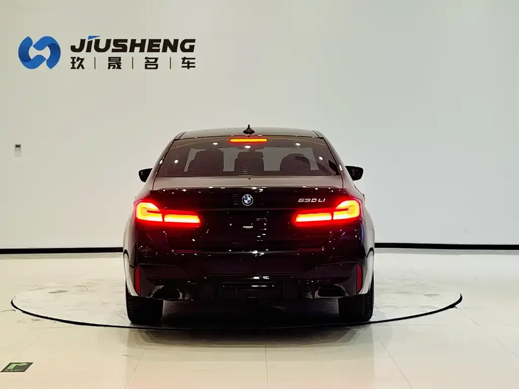 BMW 5 Series 2021 из CN, фото 5