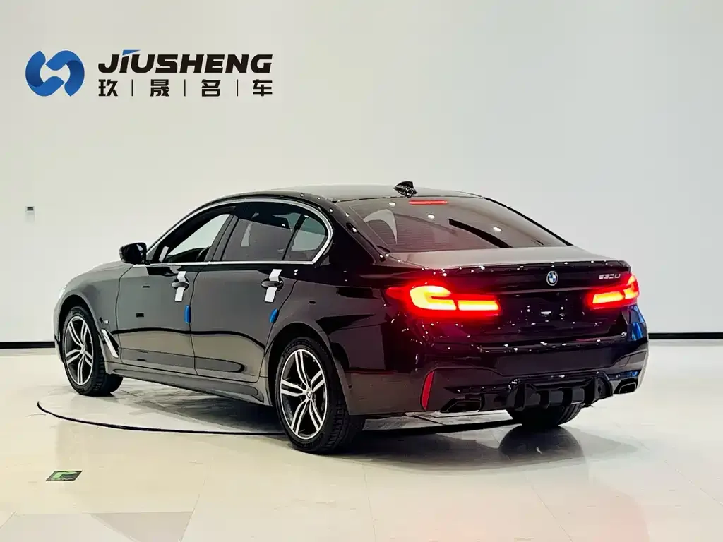BMW 5 Series 2021 из CN, фото 6