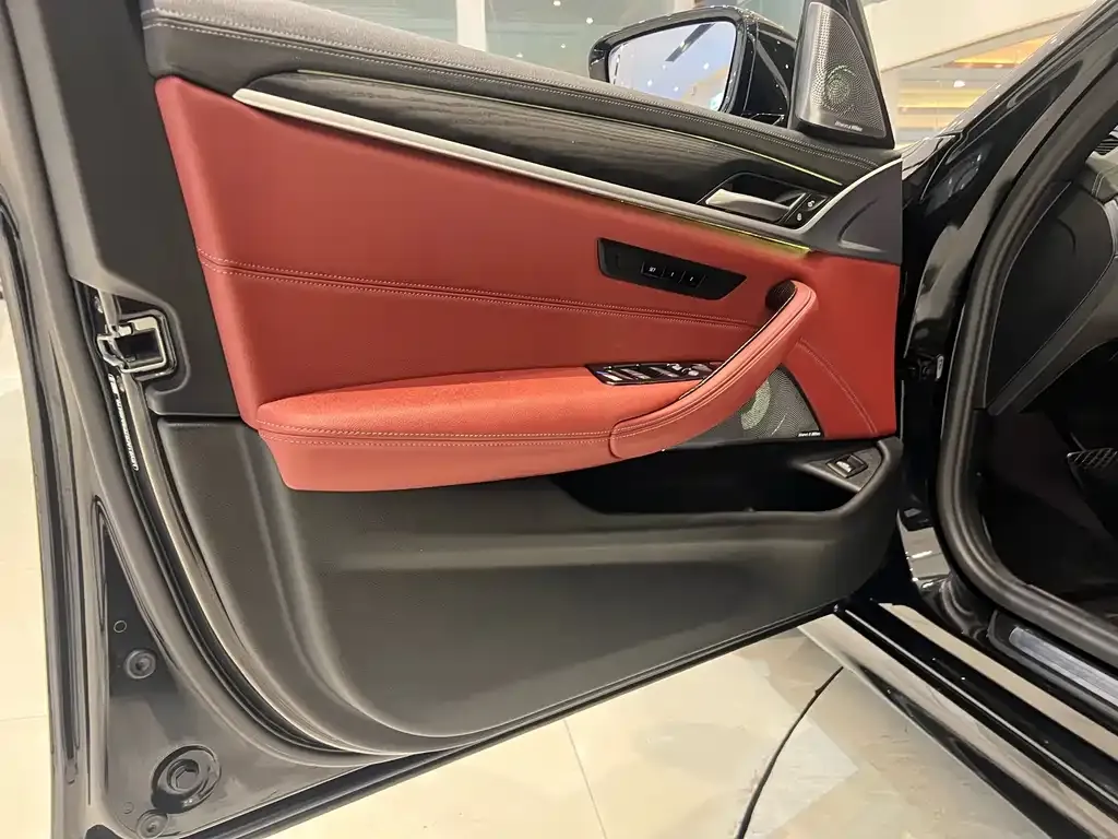 BMW 5 Series 2021 из CN, фото 9