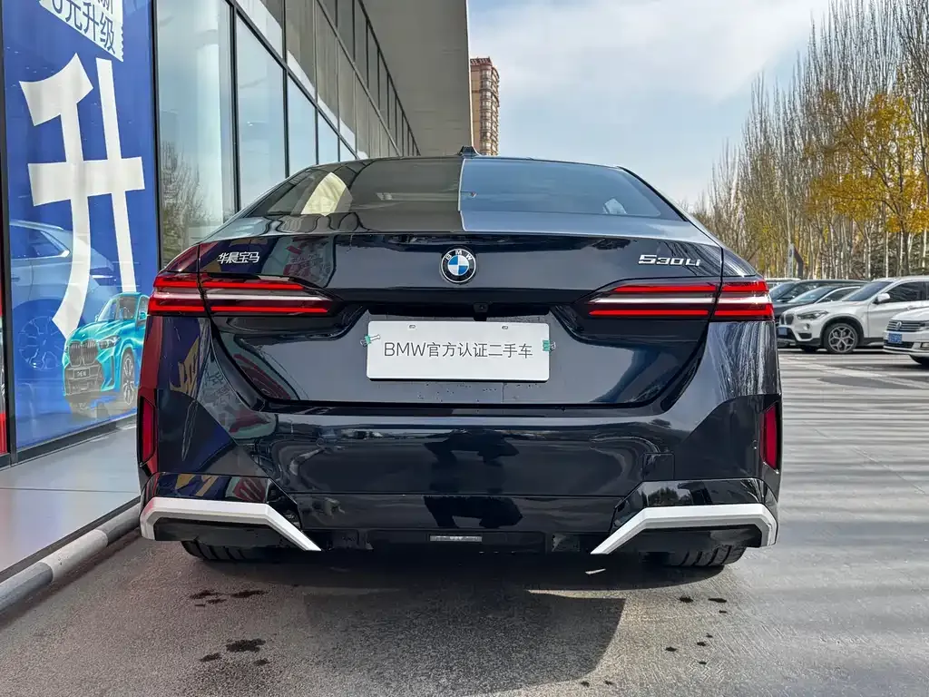 BMW 5 Series 2025 из CN, фото 8