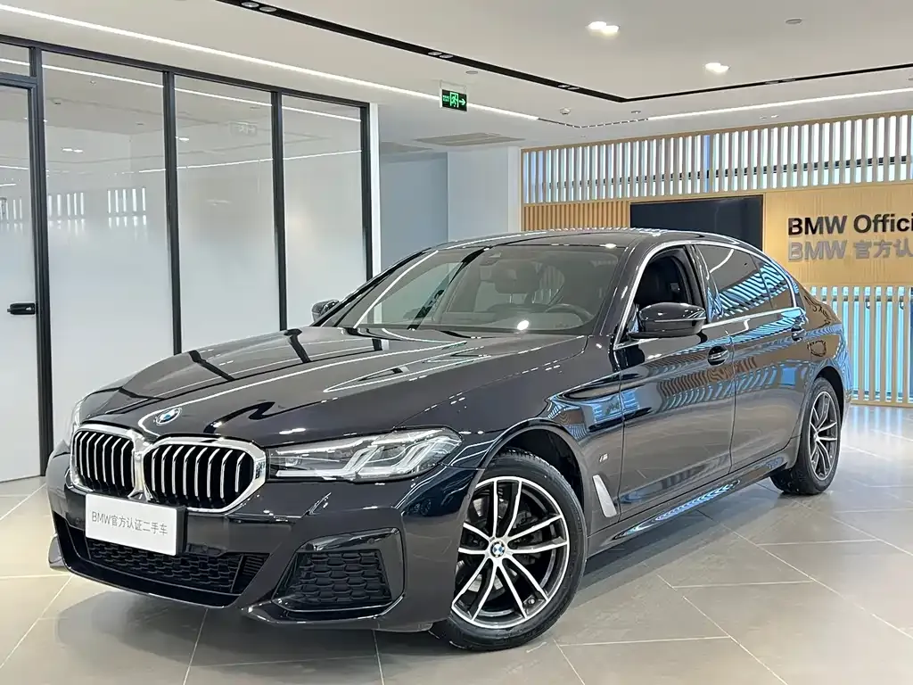 BMW 5 Series 2022 из CN, фото 1