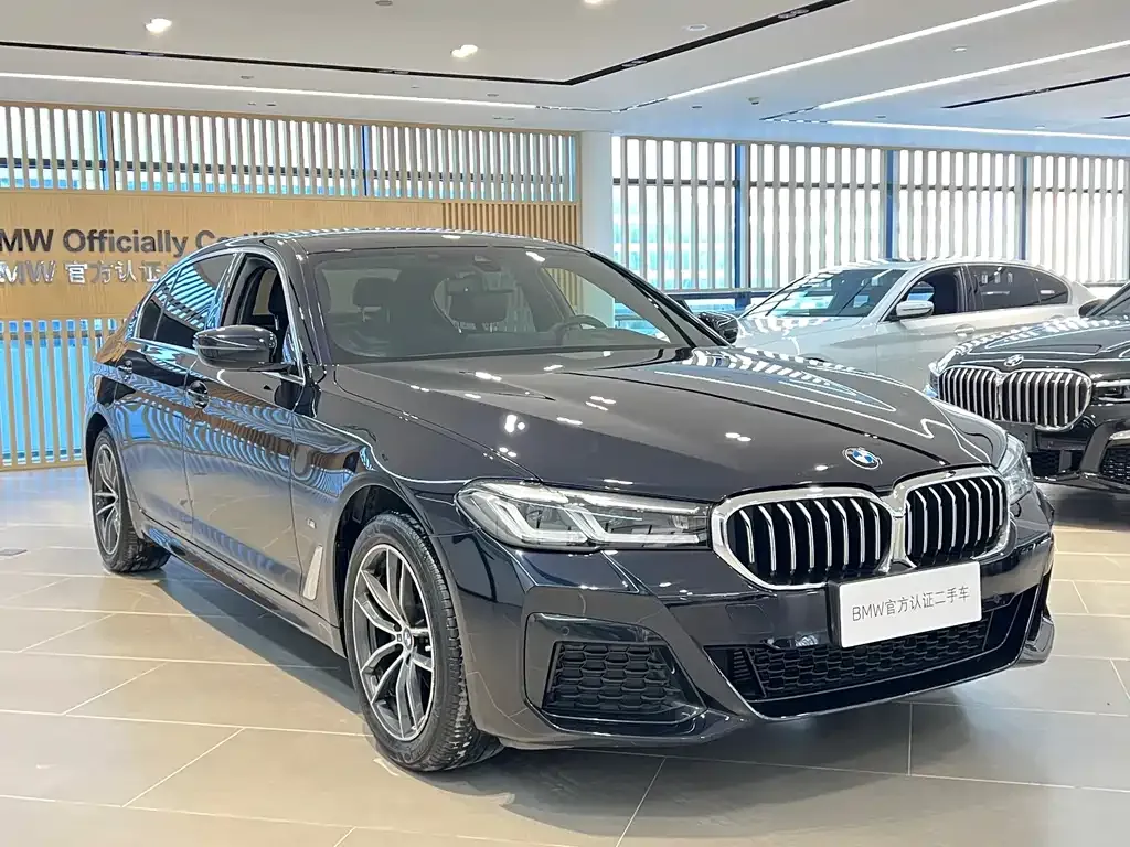 BMW 5 Series 2022 из CN, фото 2