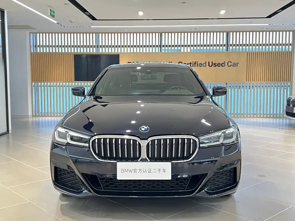 BMW 5 Series 2022 из CN, фото 3