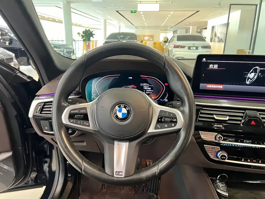 BMW 5 Series 2022 из CN, фото 5