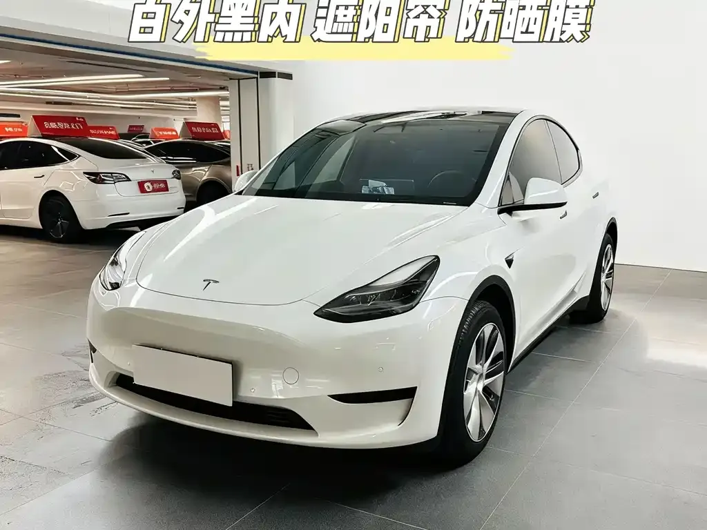 Tesla Model Y 2023 из CN, фото 1