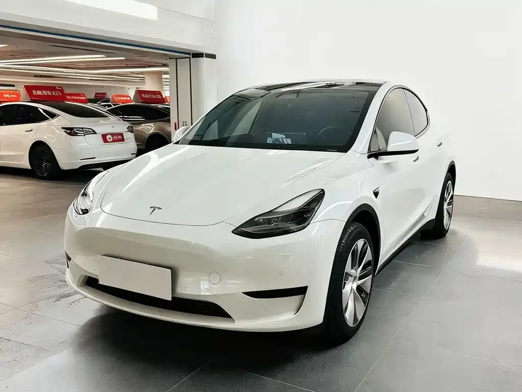 Tesla Model Y 2023 из CN, фото 2