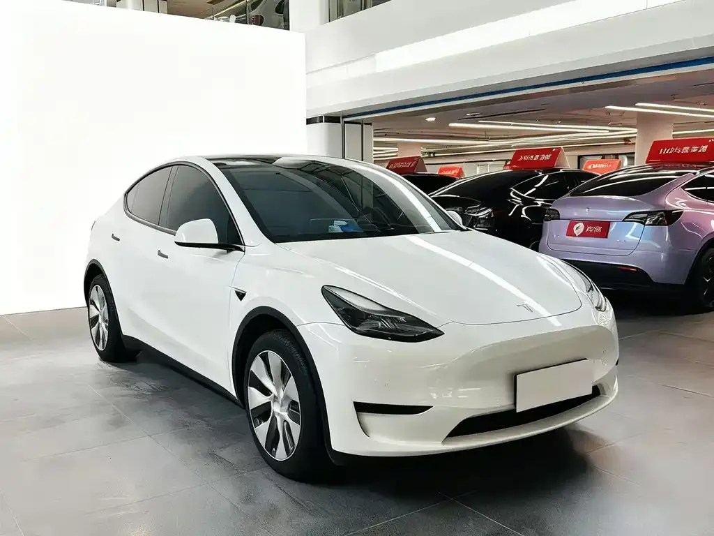 Tesla Model Y 2023 из CN, фото 4