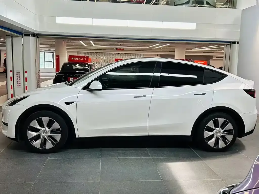 Tesla Model Y 2023 из CN, фото 9