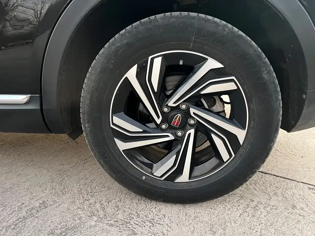 Hongqi HS5 2023 из CN, фото 7