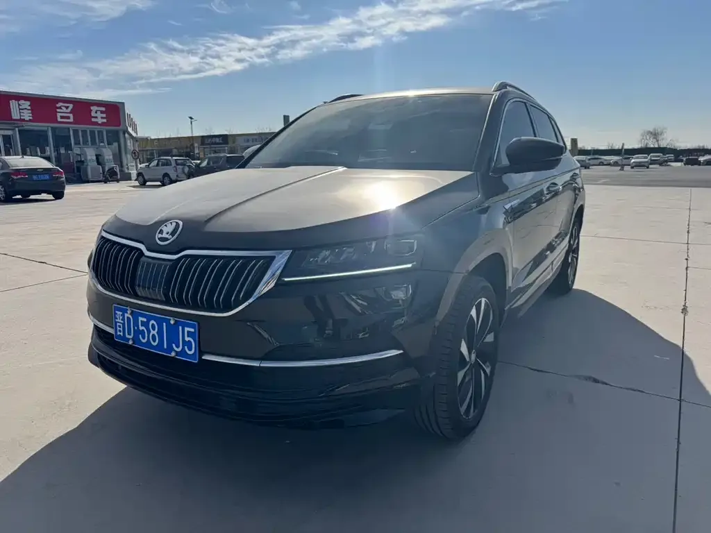 Skoda Karoq 2022 из CN, фото 1