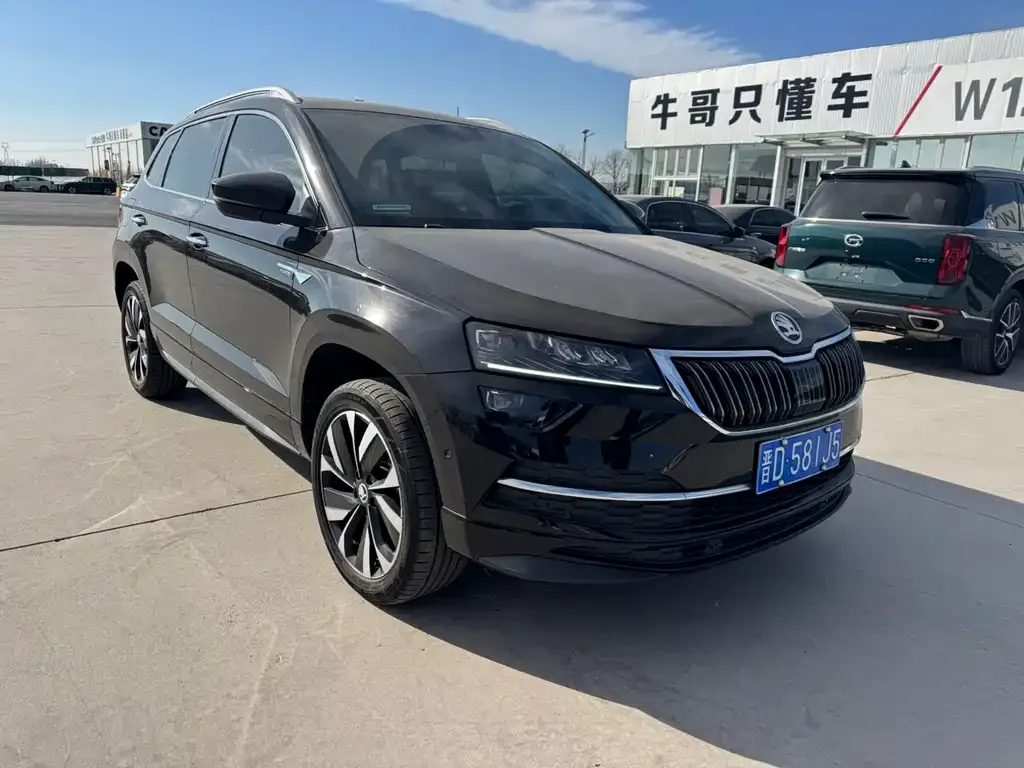 Skoda Karoq 2022 из CN, фото 3