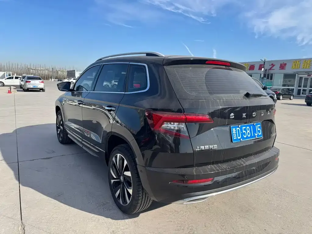 Skoda Karoq 2022 из CN, фото 4