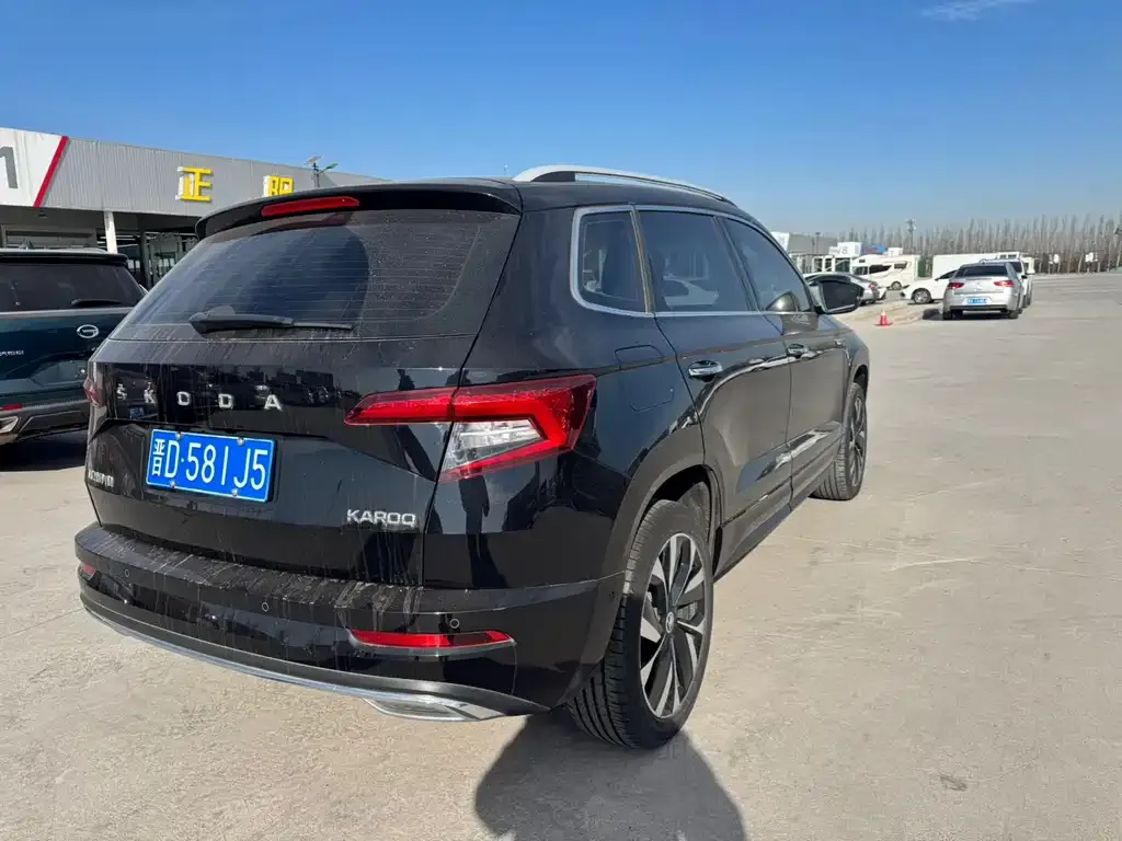 Skoda Karoq 2022 из CN, фото 6