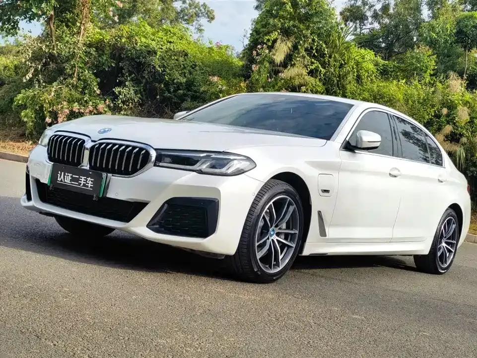 BMW 5 Series New Energy 2022 из CN, фото 1
