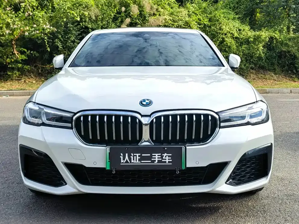 BMW 5 Series New Energy 2022 из CN, фото 2