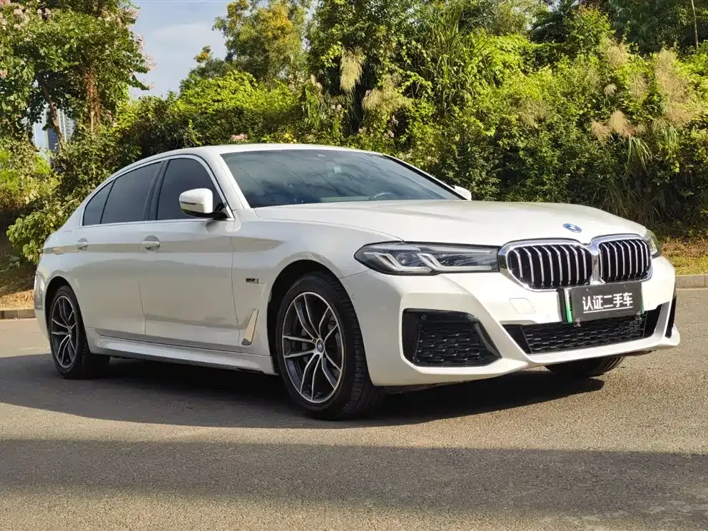 BMW 5 Series New Energy 2022 из CN, фото 3