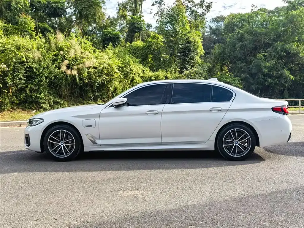BMW 5 Series New Energy 2022 из CN, фото 4