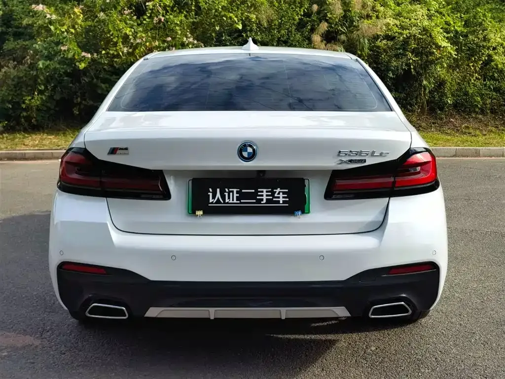 BMW 5 Series New Energy 2022 из CN, фото 6