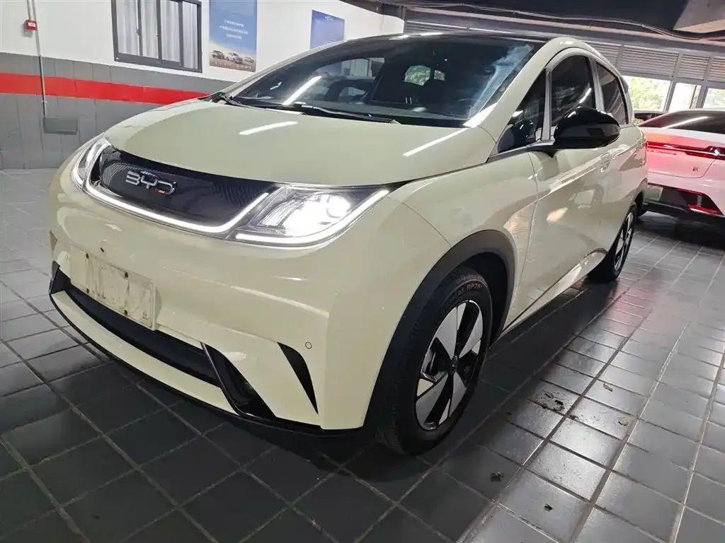 BYD Dolphin 2024 из CN, фото 2