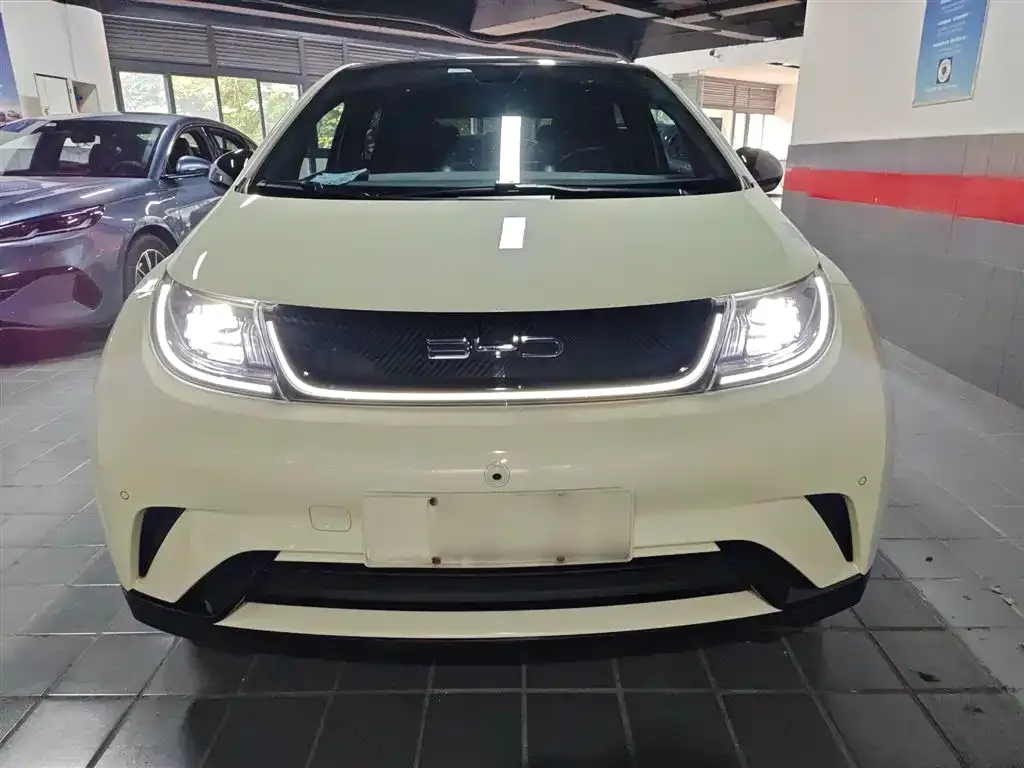 BYD Dolphin 2024 из CN, фото 3