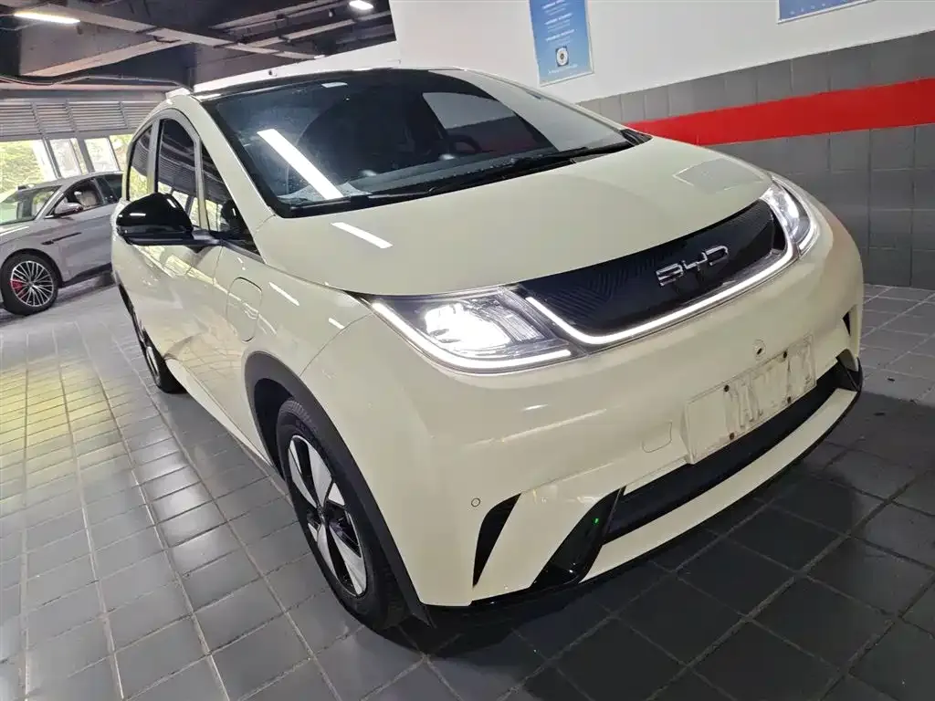BYD Dolphin 2024 из CN, фото 4