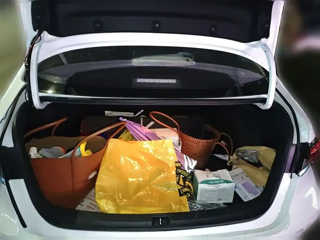 Toyota Corolla 2021 из CN, фото 10