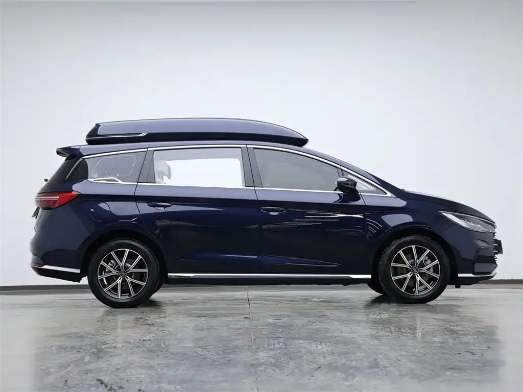 BYD MAX New Energy 2023 из CN, фото 6