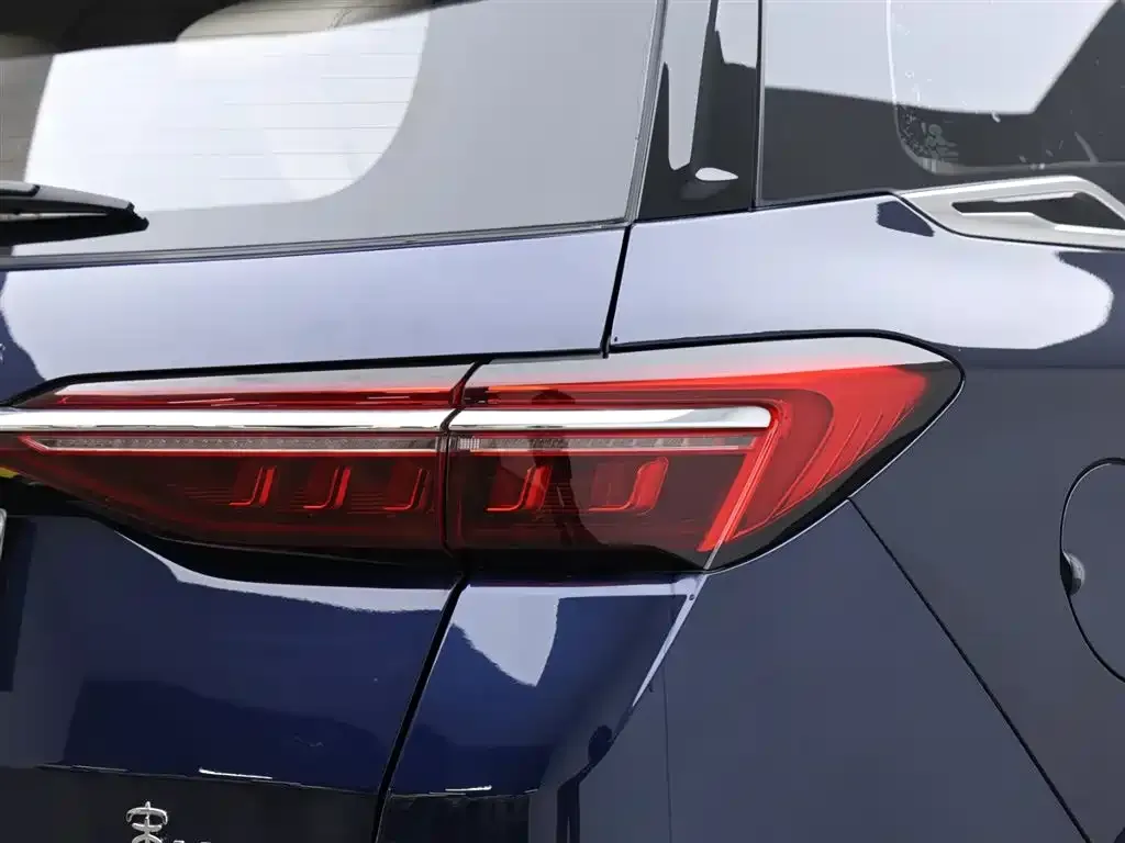 BYD MAX New Energy 2023 из CN, фото 7