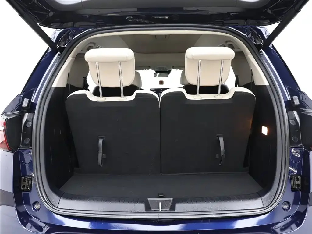 BYD MAX New Energy 2023 из CN, фото 8