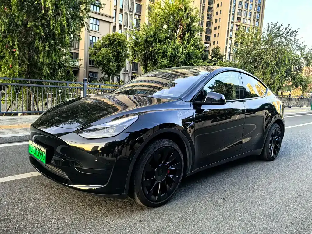 Tesla Model Y — фото 1