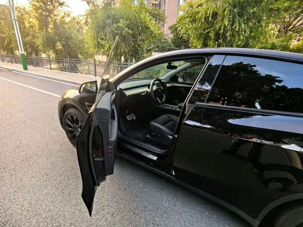 Tesla Model Y — фото 10
