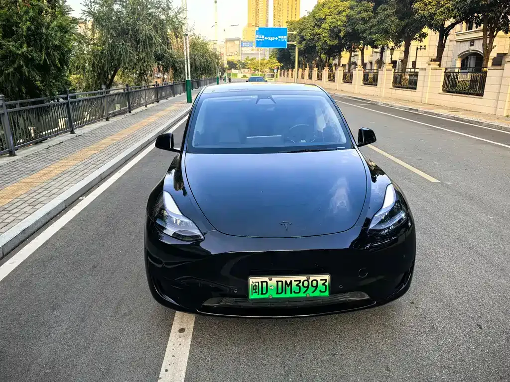 Tesla Model Y — фото 2