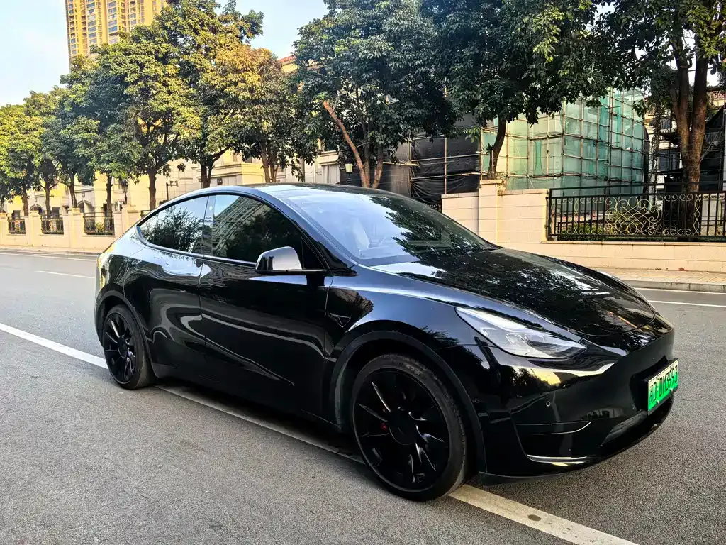 Tesla Model Y — фото 3
