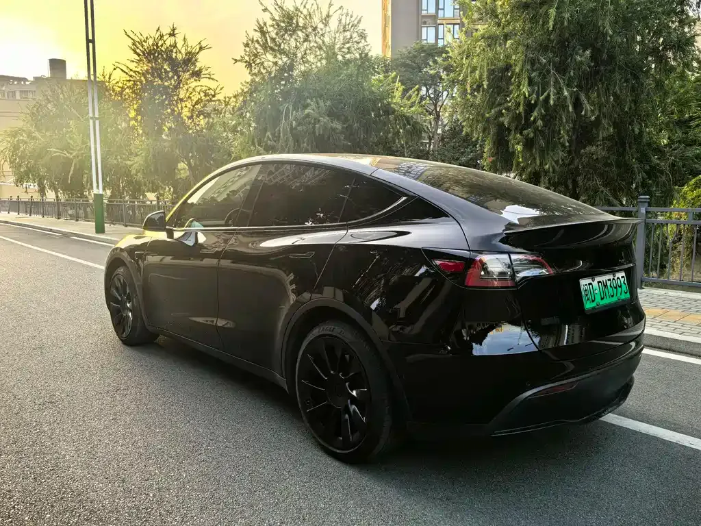 Tesla Model Y — фото 5