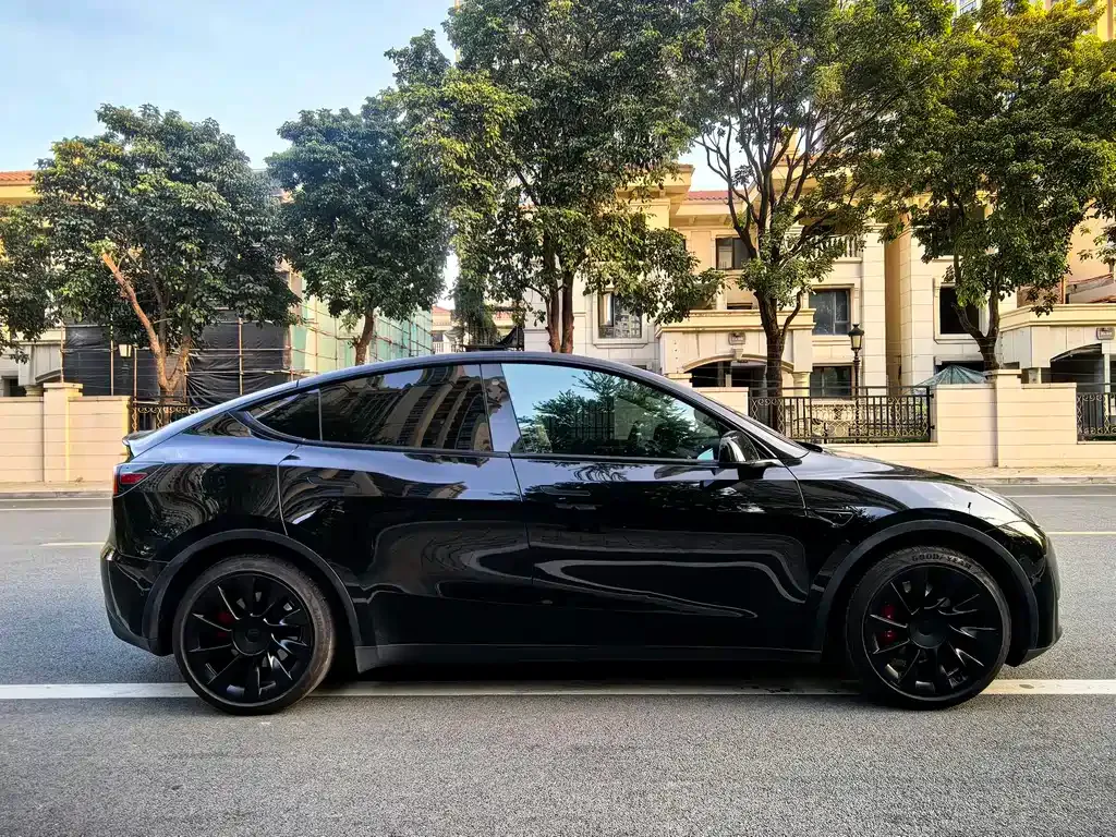 Tesla Model Y — фото 6