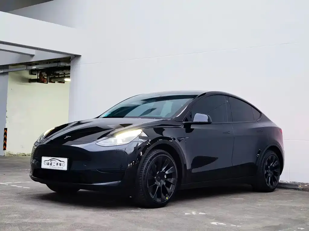 Tesla Model Y 2023 из CN, фото 1