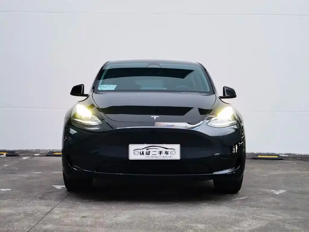 Tesla Model Y 2023 из CN, фото 2
