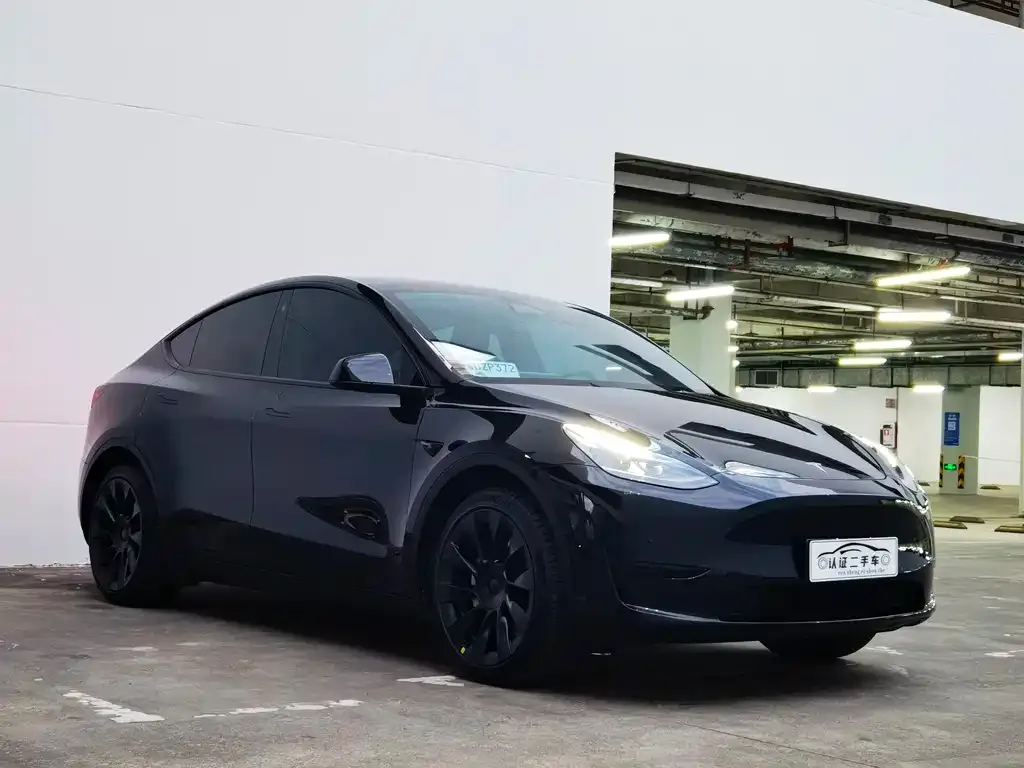 Tesla Model Y 2023 из CN, фото 3