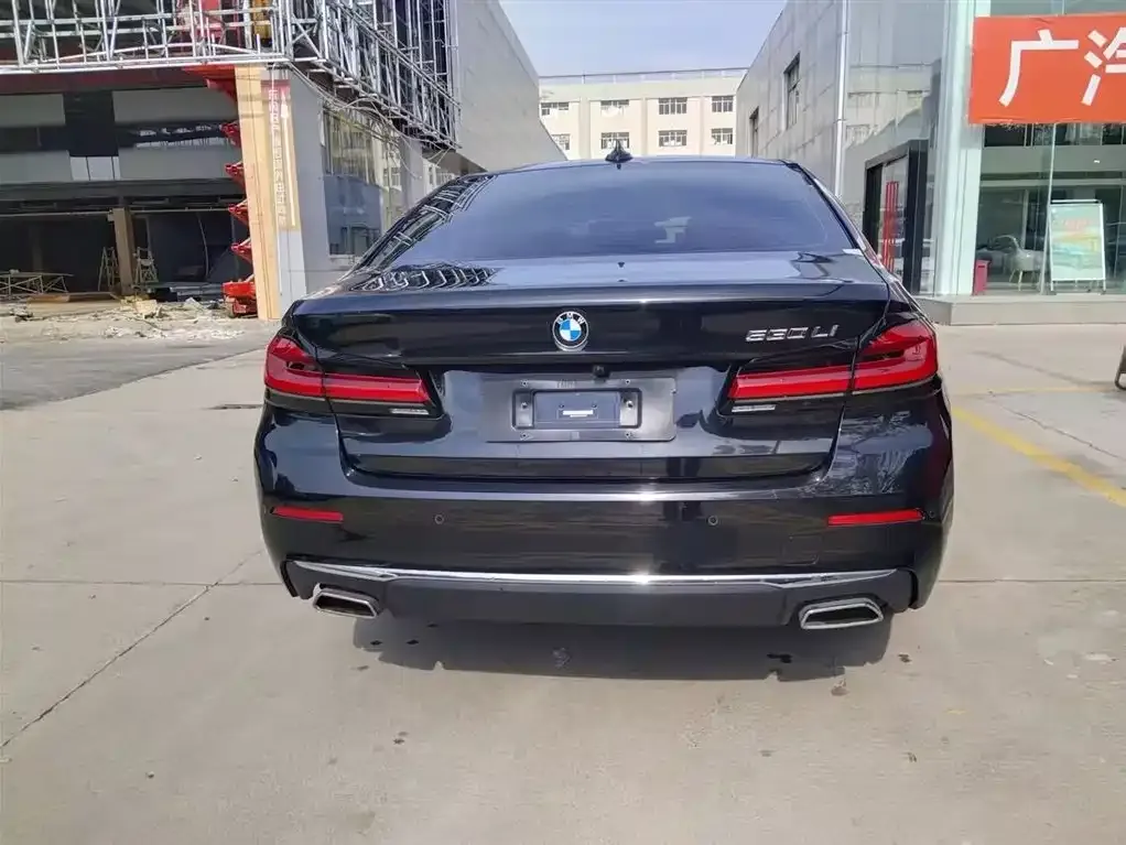 BMW 5 Series 2023 из CN, фото 3
