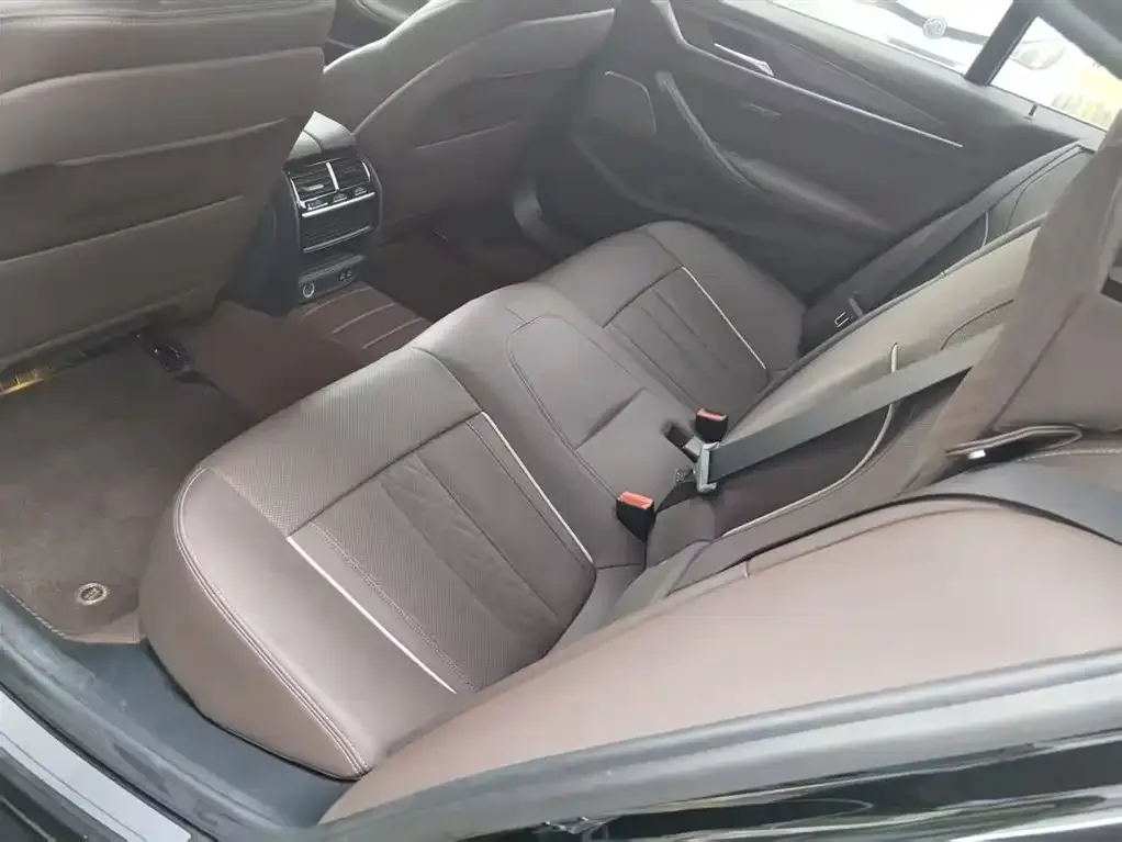 BMW 5 Series 2023 из CN, фото 5