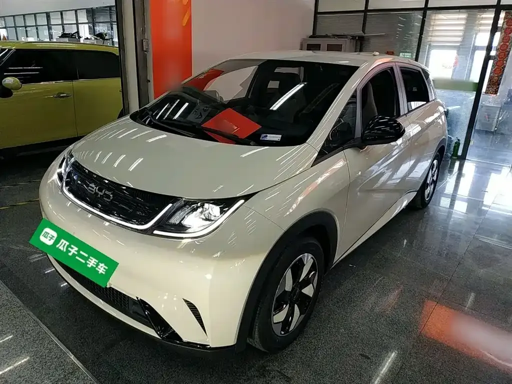 BYD Dolphin 2024 из CN, фото 1
