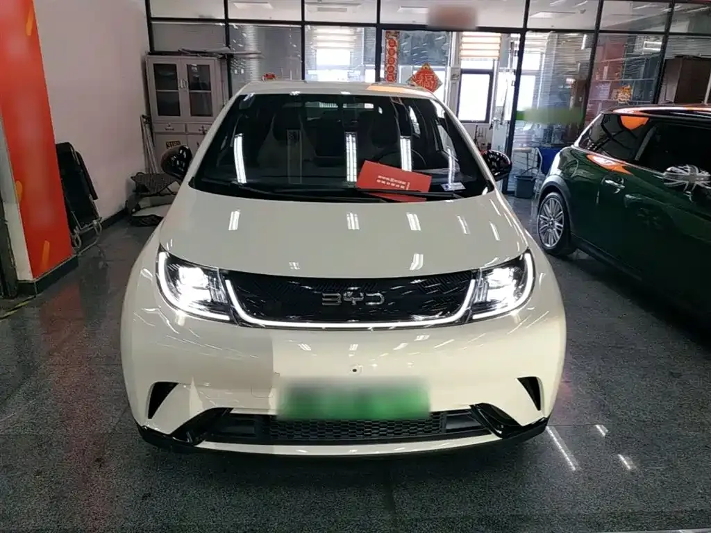 BYD Dolphin 2024 из CN, фото 3